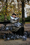 Paris - Old man feeding the birds