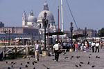Venice - Vue de Santa Maria della Salute et du port de Venise prise de la piazzetta San Marco