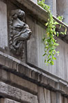 Lyon - Grimacing lion sculpture (23 rue Juiverie, Hôtel Dugas)