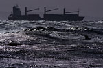 Le Havre - Cargo sur mer d'acier et goéland en contre-jour