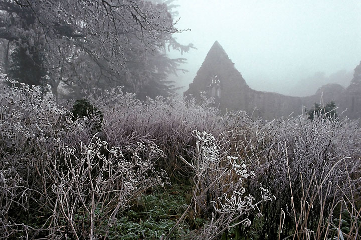 Misty view of a priory - Ireland - Portumna - December 1989 - Fall-Winter